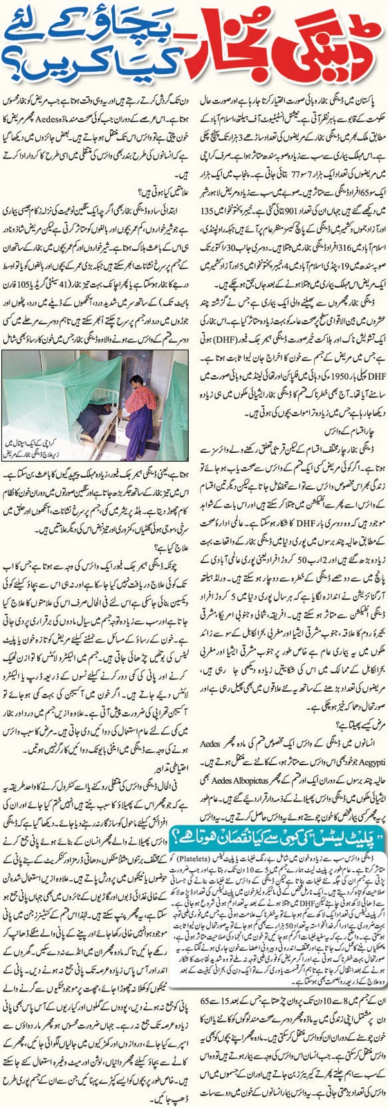 Dengue virus in pakistan essay in urdu - dissertationadviser.x.fc2.com